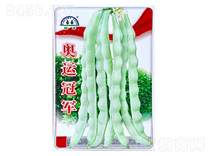 �|���N��-���S�N��