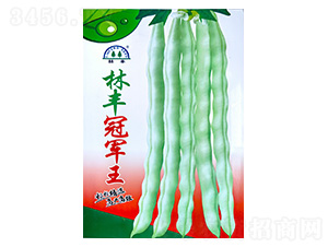 �|���N��--���S�N��