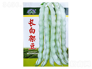 �L�׼ܶ�-�|���N��-���S�N��