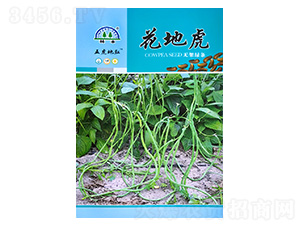 ���ػ��o�ܾG�l-�����N��-���S�N��