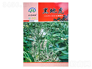 �ڵػ��o�ܾG�l-�����N��-���S�N��