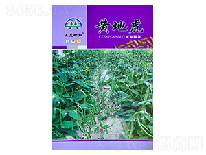 �S�ػ��o�ܾG�l-�����N��-���S�N��