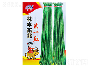 �����N��-���S�N��