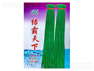 �����N��--���S�N��