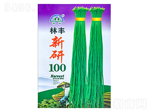 ����100-�����N��-���S�N��