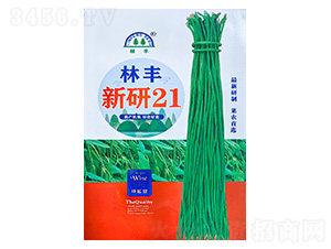 ����21-�����N��-���S�N��