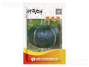 ī����-�ϹϷN��-���S�N�I(y��)