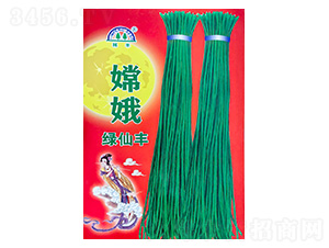 �϶�G���S-�����N��-���S�N��