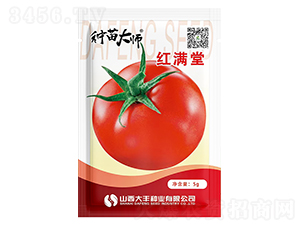 �t�M��-���ѷN��-���S�N�I(y��)