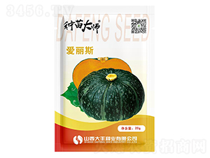 ����˹-�����ϹϷN��-���S�N�I(y��)