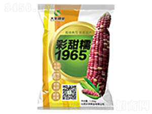 ����Ŵ1965-���׷N��-���S�N�I(y��)