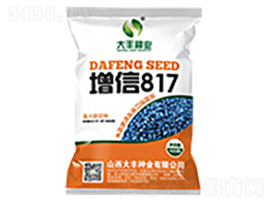 ����817-���׷N��-���S�N�I(y��)