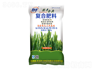 ����ֲ��ͺϷ���16-20-6-���S���-���S�ʘI(y��)