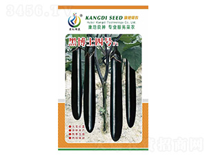 �ڲ�ʿ4̖-���ӷN��-���ؿƼ�