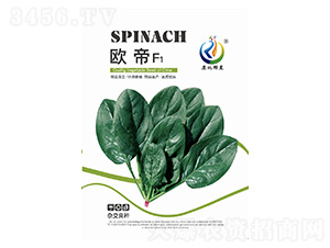 �W��-���˷N��-���ؿƼ�