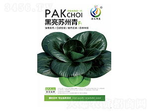 �����K����-�K����N��-���ؿƼ�