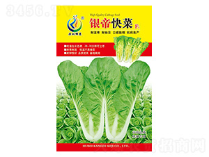 �y�ۿ��-��˷N��-���ؿƼ�