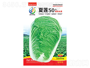 ��ɏ50-�ײ˷N��-���ؿƼ�