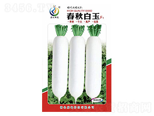 �������-�}���N��-���ؿƼ�