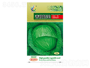 �������-���{�N��-���ؿƼ�