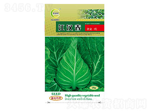 ���h��-���{�N��-���ؿƼ�