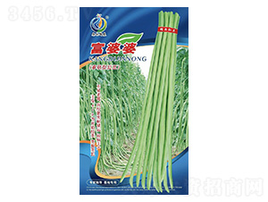 ������-�����N��-���ؿƼ�