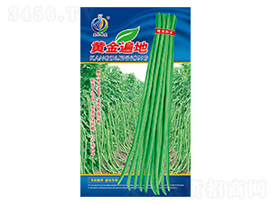 �S����-�����N��-���ؿƼ�