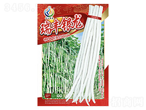 ���S�y��-�����N��-���ؿƼ�