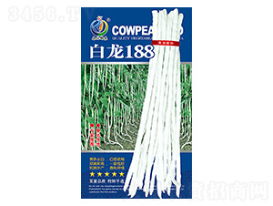 ����188-�����N��-���ؿƼ�