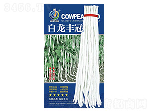 �����S�ڣ�����-�����N��-���ؿƼ�