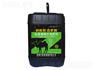 �����׷�ʾ�-�Н�(r��n)��ֲ��