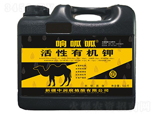 �����ЙC(j��)�-�����-�Н���ֲ��