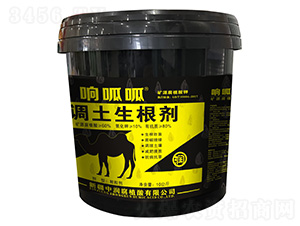 �{(di��o)��������-�����-�Н���ֲ��