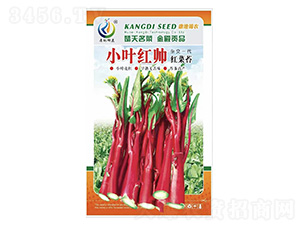 С�~�t��-��޷�N��-���ؿƼ�