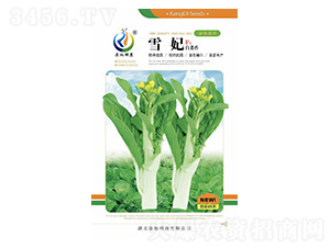 ѩ��-��޷�N��-���ؿƼ�