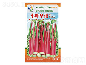 С�~���-��޷�N��-���ؿƼ�