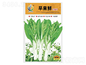 ����r-��޷�N��-���ؿƼ�