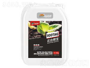 �������ĵ��׸��\ԭҺ-���_����-���_��