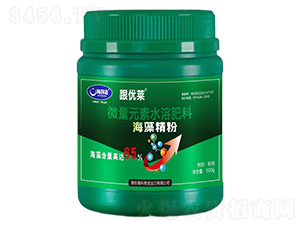 ���徫��-������