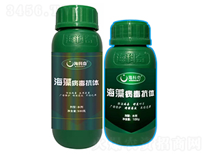 ���岡�����w-������