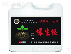 ������-��ɽ����