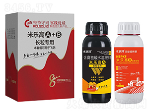 �ט�(l��)��A+B-�����r(n��ng)�I(y��)