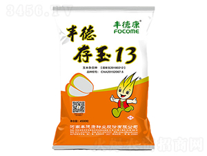 �S�´���13-���׷N��-�S�¿�