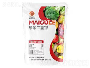 ���W������������-�~�Ș�(l��)