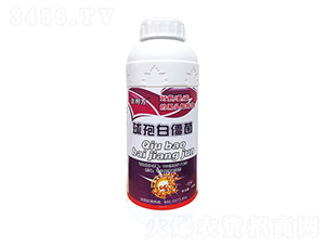 ���߰׽���-���طʘI(y��)