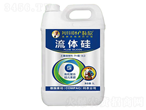 ���w��-�����ʘI(y��)