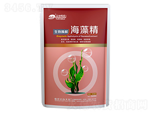 ���徫500G-���_��