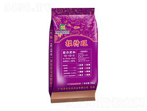 �����͏�(f��)�Ϸ���19-19-0-������-�R�S�r(n��ng)�I(y��)