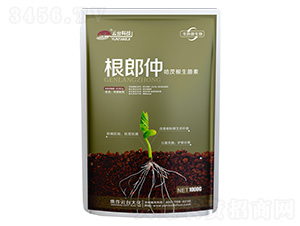 ���ĸ�������-������-���_��