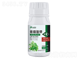 ϩ����⛴�0-40-525-375-���_(t��i)��